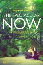 Watch The Spectacular Now Wolowtube