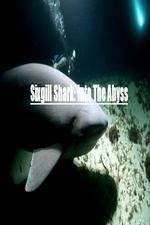 Watch National Geographic Wild Sixgill Shark Into The Abyss Wolowtube