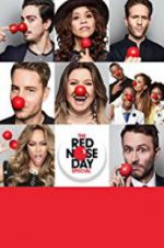 Watch The Red Nose Day Special Wolowtube