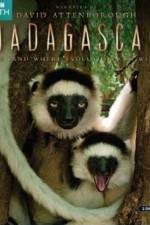 Watch Madagascar Island of Marvels Wolowtube