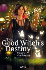 Watch The Good Witchs Destiny Wolowtube