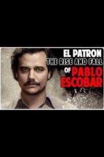 Watch The Rise and Fall of Pablo Escobar Wolowtube