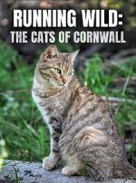 Watch Running Wild: The Cats of Cornwall (TV Special 2020) Wolowtube