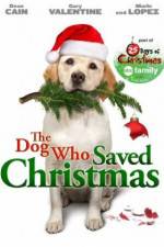 Watch The Dog Who Saved Christmas Wolowtube