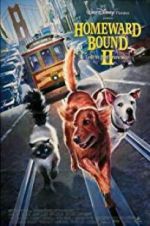 Watch Homeward Bound II: Lost in San Francisco Wolowtube