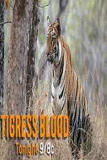 Watch Discovery Channel-Tigress Blood Wolowtube