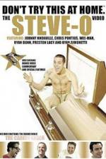 Watch Don't Try This at Home The Steve-O Video Wolowtube