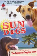 Watch Sun Dogs Wolowtube