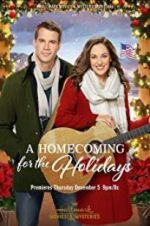 Watch A Homecoming for the Holidays Wolowtube