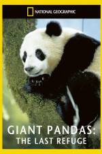 Watch National Geographic Giant Pandas The Last Refuge Wolowtube