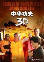 Watch Secrets of Shaolin with Jason Scott Lee Wolowtube