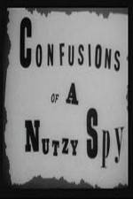 Watch Confusions of a Nutzy Spy Wolowtube