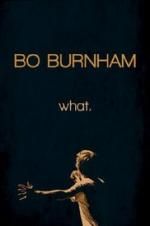 Watch Bo Burnham: what. Wolowtube