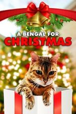 A Bengal for Christmas wolowtube