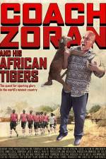 Watch Coach Zoran and His African Tigers Wolowtube