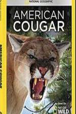 Watch National Geographic - American Cougar Wolowtube