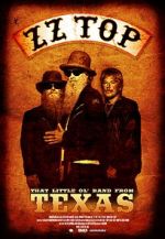 Watch ZZ Top: That Little Ol\' Band from Texas Wolowtube