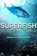 Watch Superfish Bluefin Tuna Wolowtube