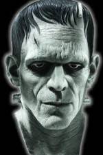 Watch Frankenstein Birth of a Monster Wolowtube