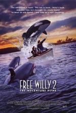 Watch Free Willy 2: The Adventure Home Wolowtube