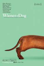 Watch Wiener-Dog Wolowtube