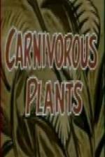 Watch Carnivorous Plants Wolowtube