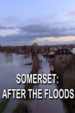 Watch Somerset: After the Floods Wolowtube