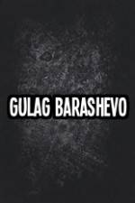 Watch Gulag Barashevo Wolowtube