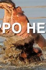 Watch Hippo Hell Wolowtube
