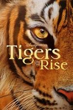 Watch Tigers on the Rise Wolowtube