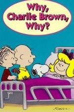 Watch Why Charlie Brown Why Wolowtube