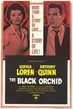 Watch The Black Orchid Wolowtube