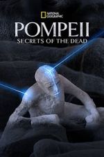 Watch Pompeii: Secrets of the Dead (TV Special 2019) Wolowtube