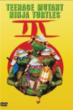 Watch Teenage Mutant Ninja Turtles III Wolowtube