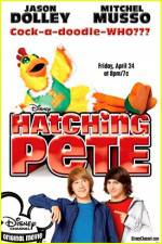 Watch Hatching Pete Wolowtube