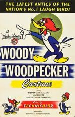 Watch The Woody Woodpecker Polka Wolowtube