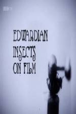 Watch Edwardian Insects on Film Wolowtube