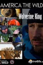 Watch National Geographic Wild America the Wild Wolverine King Wolowtube