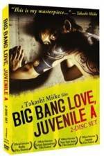 Watch Big Bang Love Juvenile A Wolowtube
