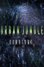 Watch National Geographic Wild Urban Jungle Downtown Wolowtube