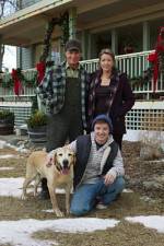 Watch Hallmark Hall of Fame A Dog Named Christmas Wolowtube
