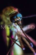 Watch Mosquito Wolowtube