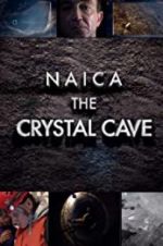 Watch Naica: Secrets of the Crystal Cave Wolowtube