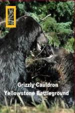 Watch National Geographic Grizzly Cauldron Wolowtube