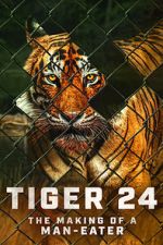 Watch Tiger 24 Wolowtube