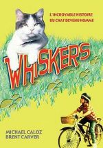 Watch Whiskers Wolowtube