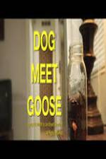 Watch Dog Meet Goose Wolowtube