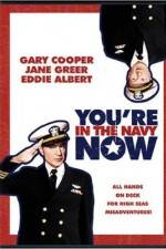 Watch You're in the Navy Now Wolowtube