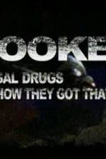 Watch Hooked: Illegal Drugs and How They Got That Way - Cocaine Wolowtube