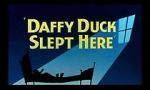Watch Daffy Duck Slept Here (Short 1948) Wolowtube